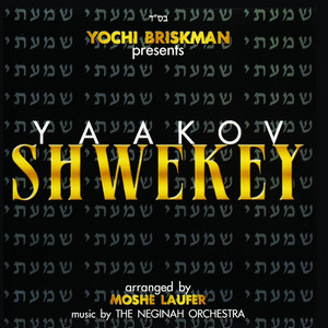 Shehecheyonu by Yaakov Shwekey