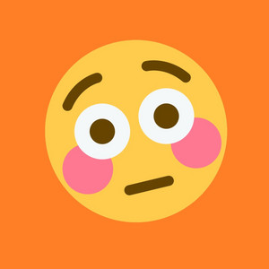 Bomber - Temu Item Shop