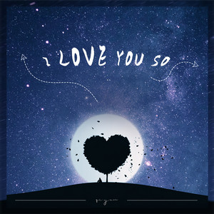 I Love You So by Qi Yuan