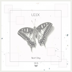 Next Step - Original Mix by Leix