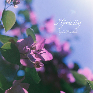 Apricity by Sophie Ronstadt