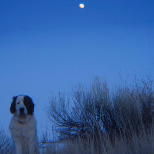 She's the Moon
