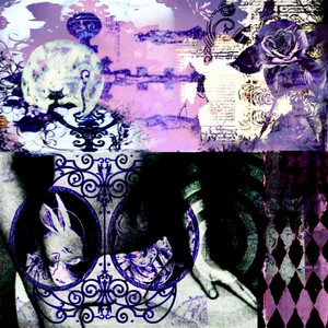 alice’s obsession by revv