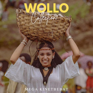 Mega Kinetbebat - Brzewo Amara Wello