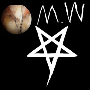 Monkey Waste - 1 in 3 (Demo)