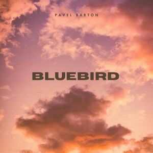 Bluebird by Pavel Barton