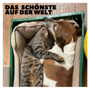 Das Schönste auf der Welt by Die Nowak, welovemelodies