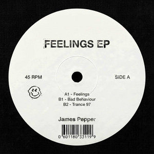 Bad Behaviour by James Pepper