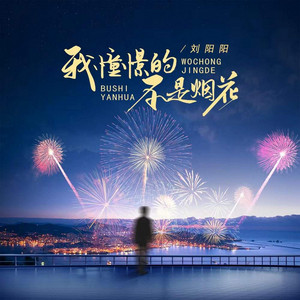 我憧憬的不是烟花 by 刘阳阳
