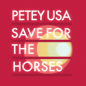 Save for the Horses by Petey USA