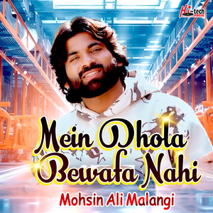 Mohsin Ali Malangi - Mein Dhola Bewafa Nahi