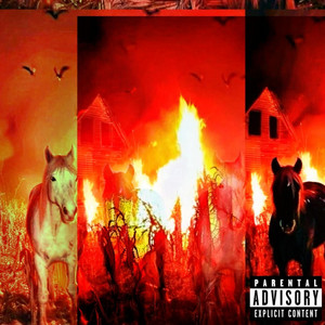 ACID HØT by Tommy Court