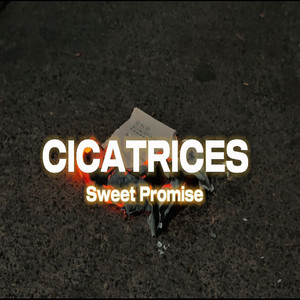 Sweet Promise - Cicatrices