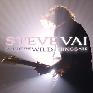 Building The Church by Steve Vai