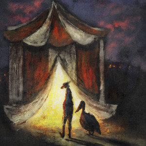 album cover: Spectator