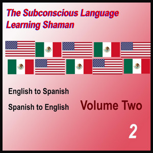 Subconscious Language Learning Shaman poster