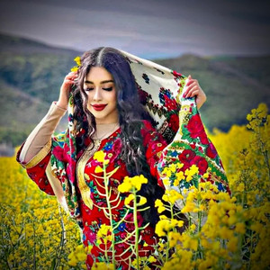 نوای گزشته - خیالت تا دیشب در سرم بود شرر در استخان پیکرم بود