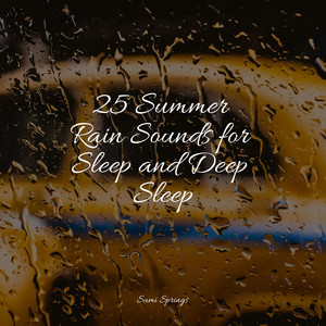 25 Summer Rain Sounds for Sleep and Deep Sleep album