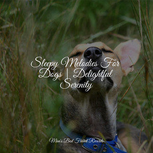 Sleepy Melodies For Dogs | Delightful Serenity album