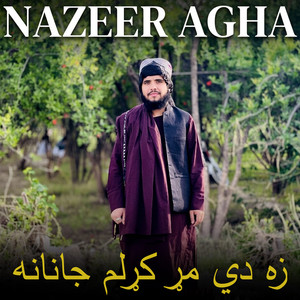 Nazeer Agha - زه دي مړ کړلم جانانه