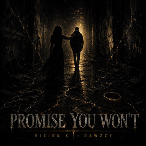 Promise You Won't by Dawzzy, Vizion X