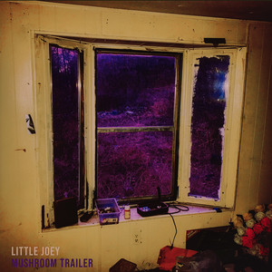 Little Joey - Cookies in the Fellowship Hall