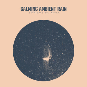 Calming Ambient Rain album