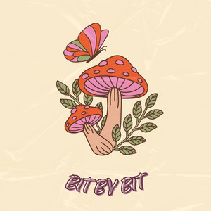 SoFo — Bit by bit