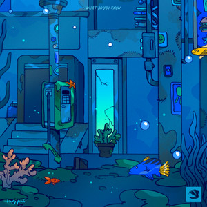 Sleepy Fish — What Do You Know (2026)