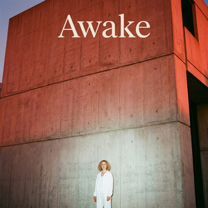 badge on the seat by Awake