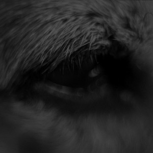 Dead Way Enlightenment — Martin