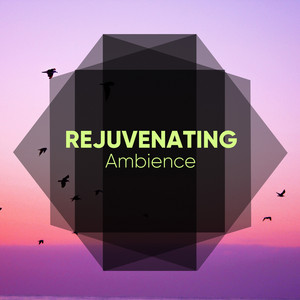 # 1 Album: Rejuvenating Ambience album