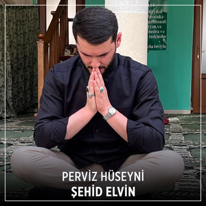 Perviz Hüseyni - Şehid Elvin