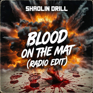 Flicker After Midnight - Radio Edit by SHAOLIN DRILL