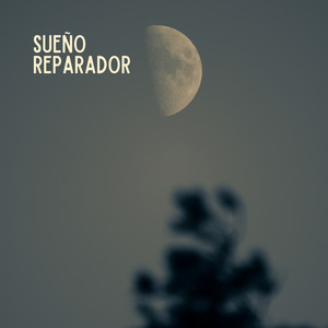 Sueño Reparador