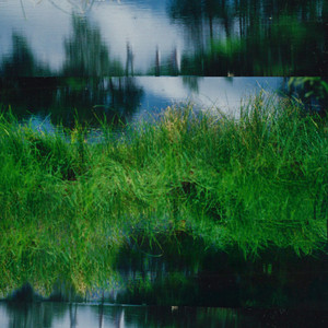 album cover: White birch burns