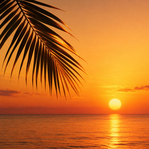 Tropical by Sanmi Matthew