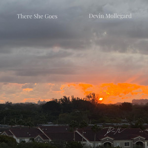There She Goes by Devin Mollegard