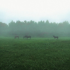 peaceful morning (Super Slowed & Reverb) by Ryce.mp3