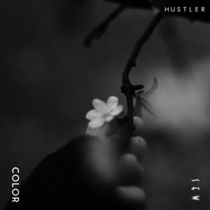 Colors by HUSTLER