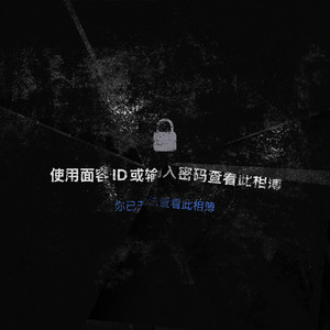 隐藏相册 - Remix by Top Barry, INDEcompany