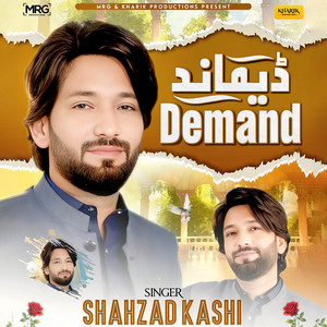 Shahzad Kashi - Demand