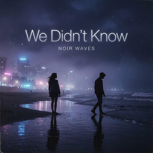 We Didn't Know by Noir Waves