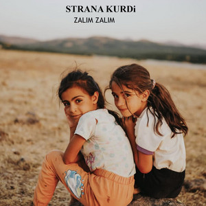 Strana Kurdi - Amed