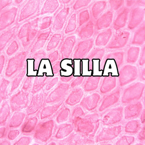 la silla by victor ojo