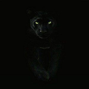 djpanthe - FLAMENCO HOUSE 3