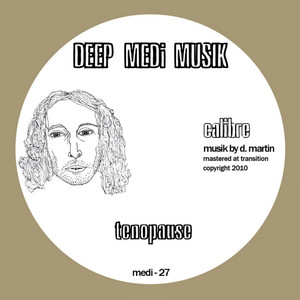 Discreet Dub by Calibre cover art