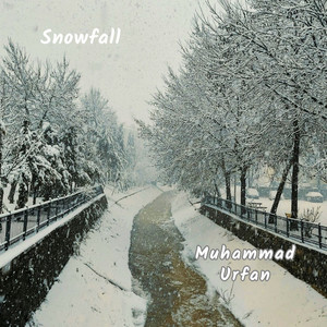 Snowfall by Muhammad Urfan
