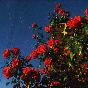 Flo Nocturn - Ești artă