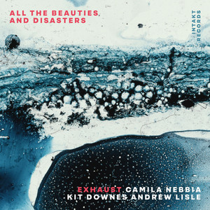 All the Beauties and Disasters